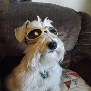 Meet your Posher, Shirlene